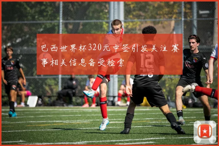巴西世界杯320元中签引发关注 赛事相关信息备受检索