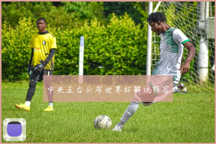 中央五台公布世界杯解说阵容